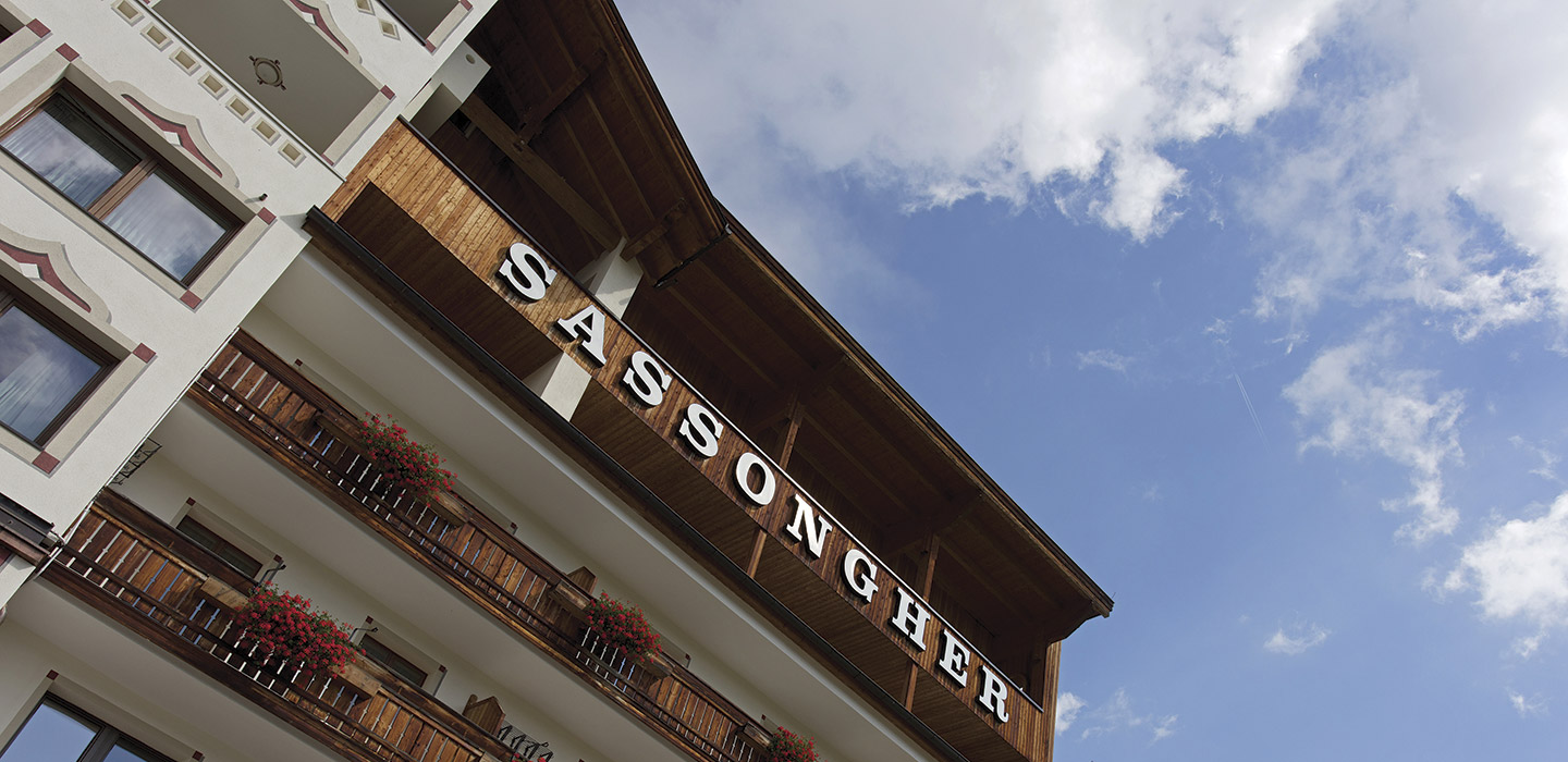 Hotel - HOTEL SASSONGHER