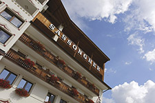 Hotel - HOTEL SASSONGHER
